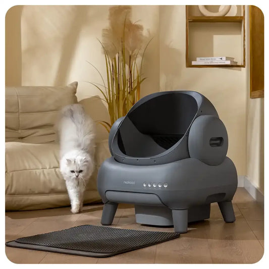 Open Top Self-Cleaning Cat Litter Box